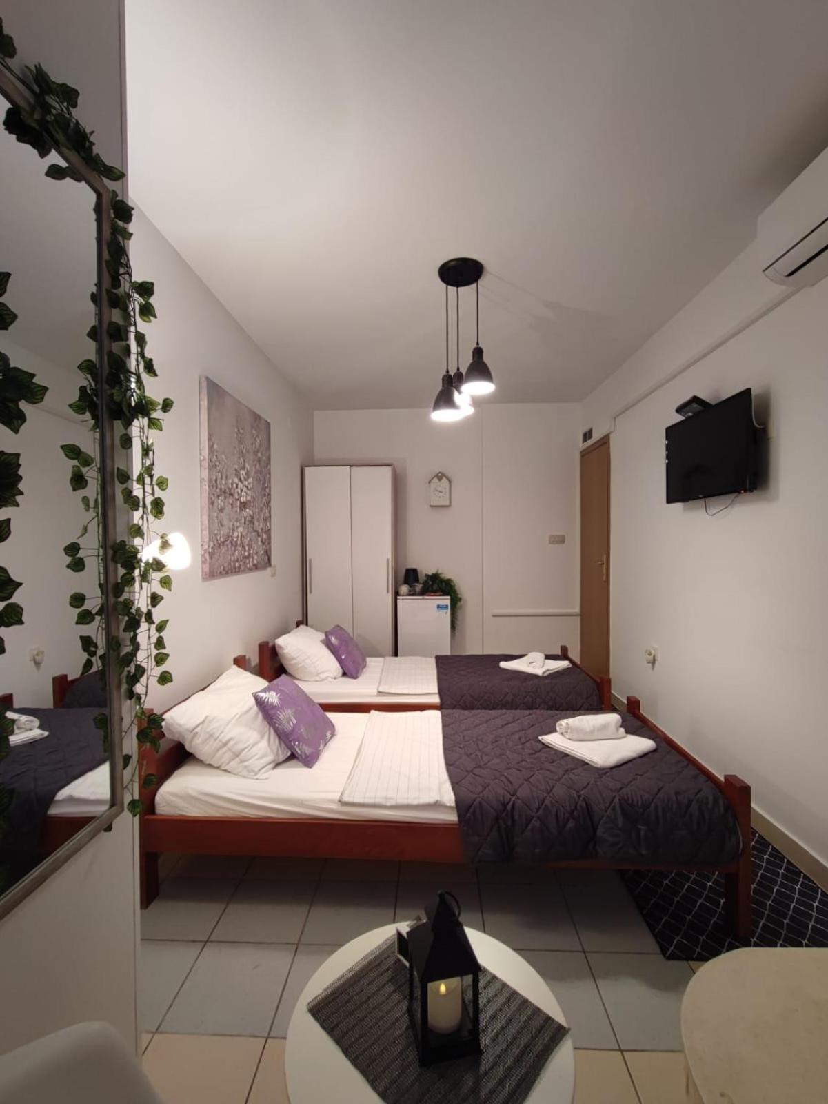Sunny Rooms And Suites シベニク エクステリア 写真